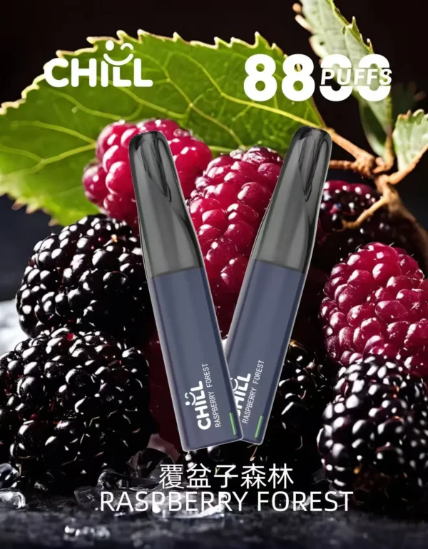 CHILL<br>一次性拋棄式<br>《 8800口 》
