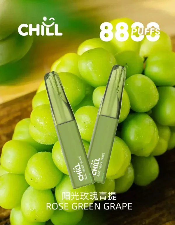 CHILL<br>一次性拋棄式<br>《 8800口 》
